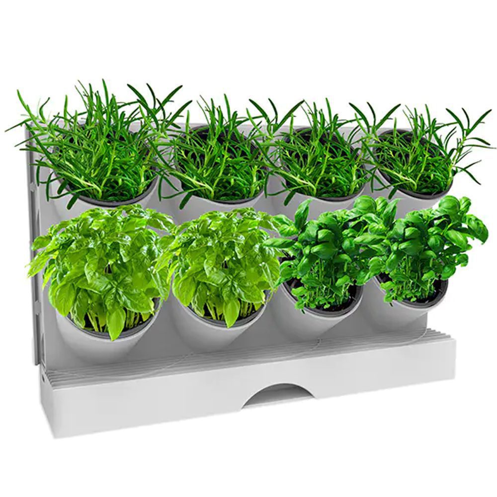 Mini-Huerto-encimera-portátil-con-riego-eficiente-|-Miabu-MIB-DIY01 mini huerto