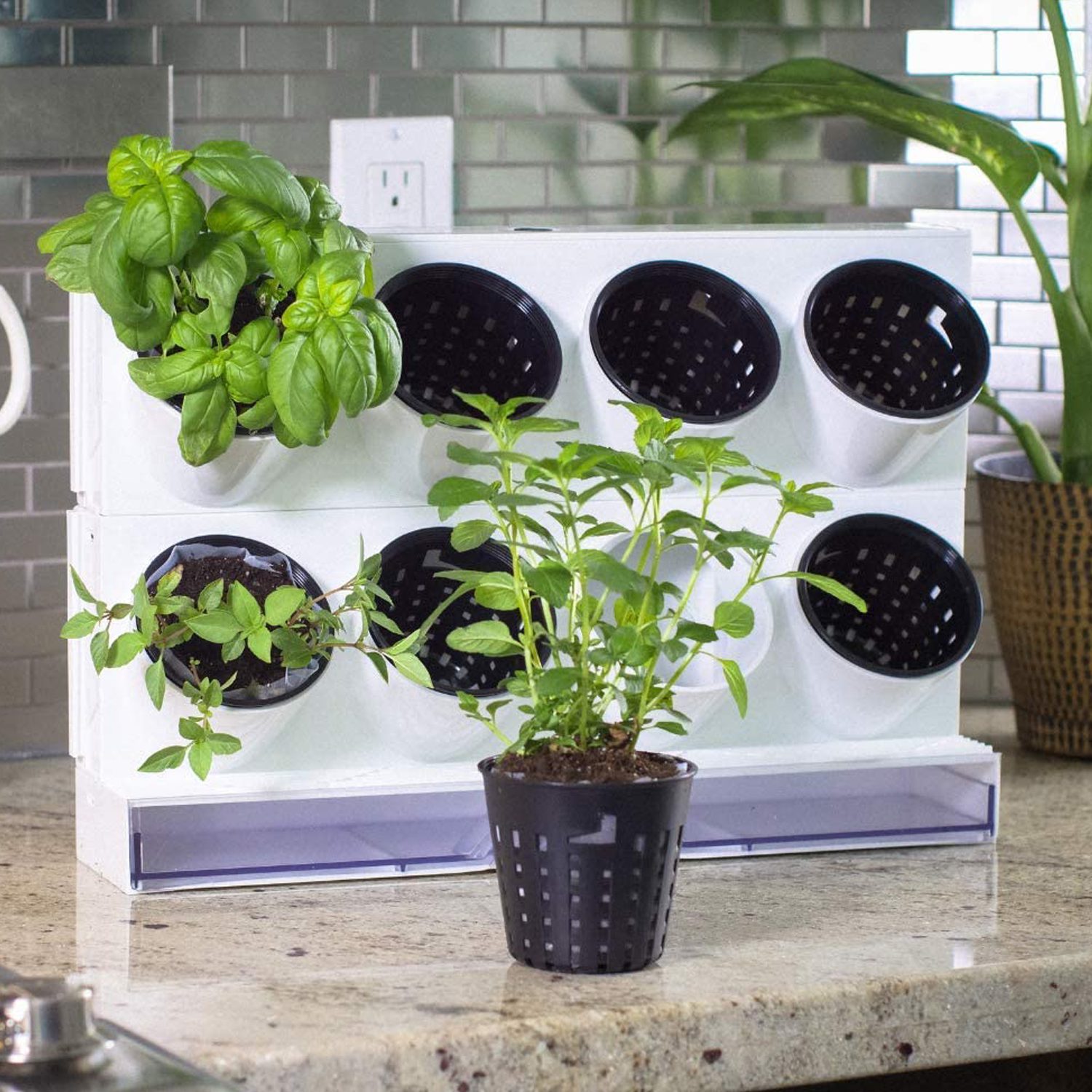 Mini huerto portátil con riego eficiente - Imagen 6