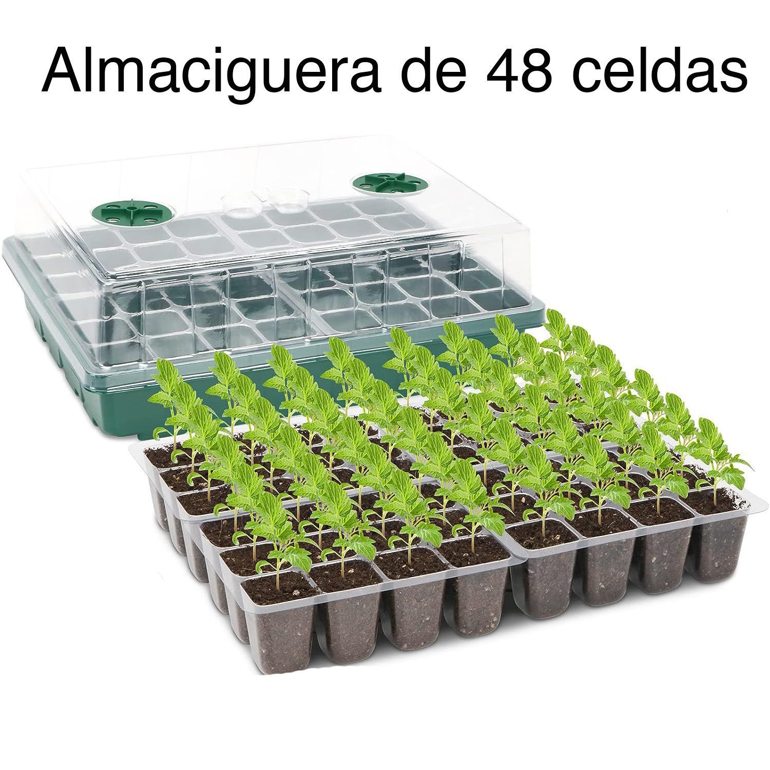 Bandeja Almaciguera germinador semillas MIB-KN100 - Imagen 6