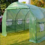 Invernadero Túnel 24 m2 de 800 x 300 x 200 cms - Imagen 5