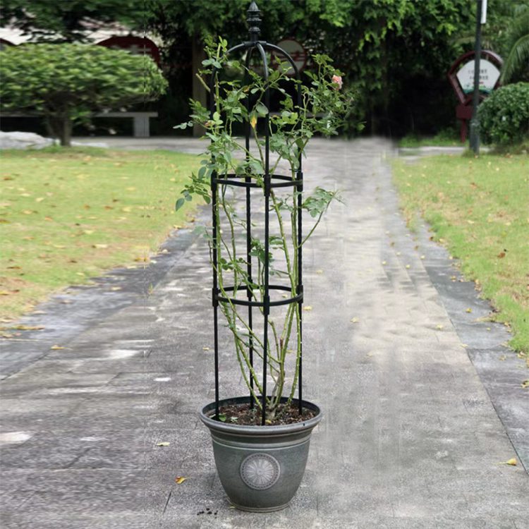 Soporte plantas trepadoras enredaderas Obelisco - Imagen 5