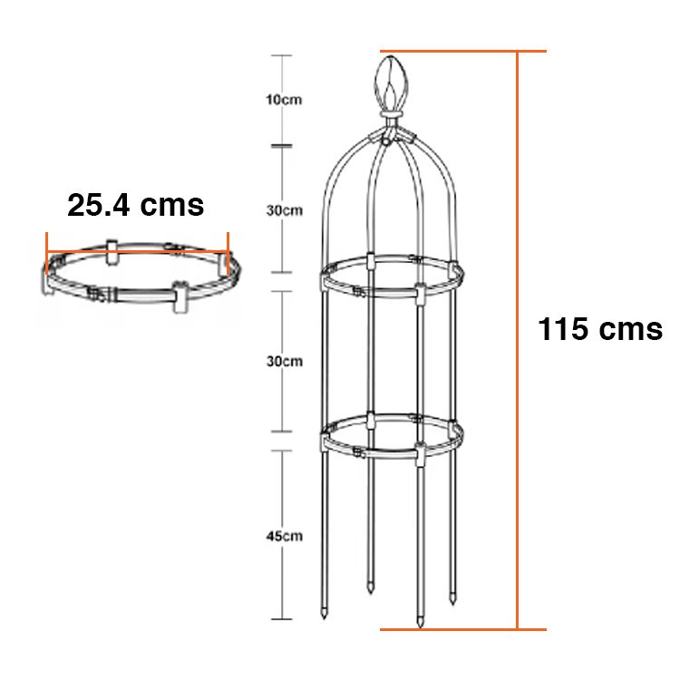 Soporte plantas trepadoras enredaderas Obelisco - Imagen 3