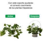 Soporte plantas trepadoras Mariposa Negra - Imagen 4