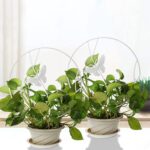 Soporte plantas trepadoras Mariposa Blanca - Imagen 2