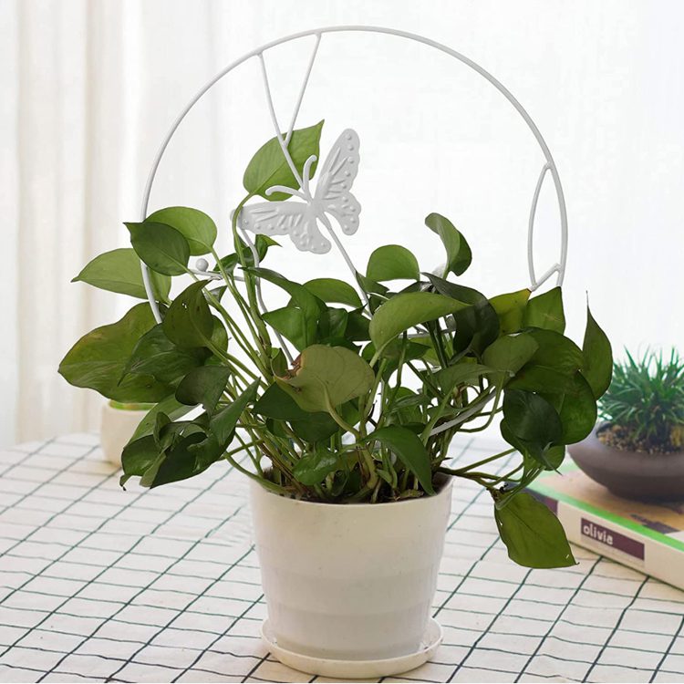 Soporte plantas trepadoras Mariposa Blanca - Imagen 3