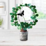 Soporte plantas trepadoras Mariposa Negra - Imagen 2