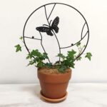 Soporte plantas trepadoras Mariposa Negra - Imagen 3