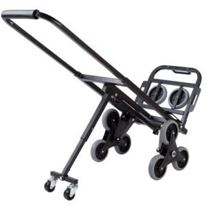 Yegua sube escaleras