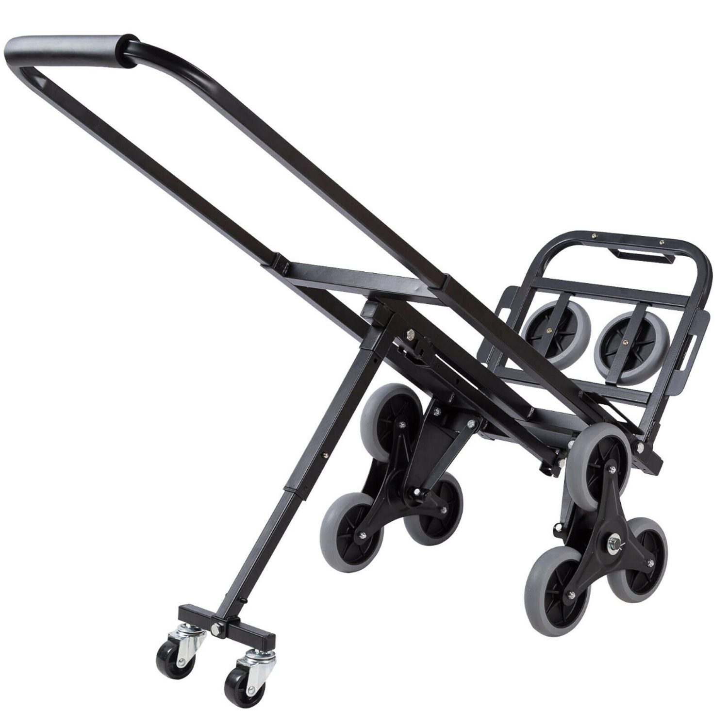 Yegua sube escaleras