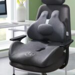 Cojín y Respaldo Lumbar para coxis silla y automóvil - Imagen 6